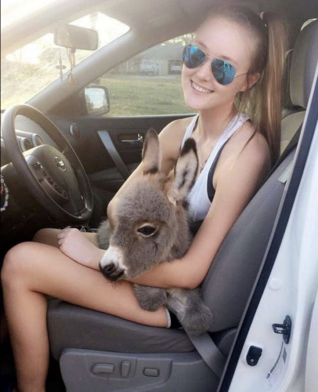 La jeune fille ne pouvait même pas imaginer qu'un jour elle deviendrait la mère adoptive d'un âne solitaire, mais elle accepta avec joie le rôle