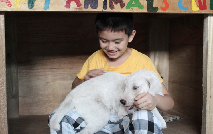 A nine-year-old boy has set up an animal shelter in his garage
