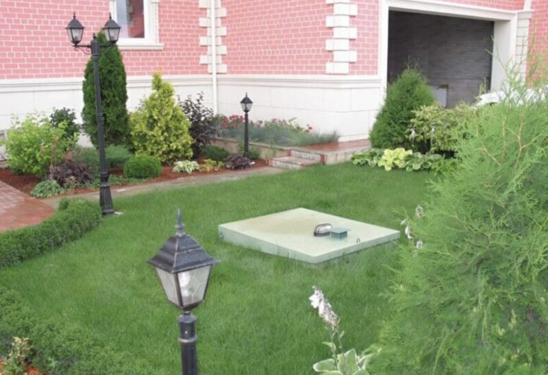 Eine Frau dachte, ihr jugendlicher Sohn würde sich jeden Tag nur um die Blumen in seinem Garten kümmern, aber der Hund eines Nachbarn enthüllte, was tatsächlich in ihrem Garten versteckt war.