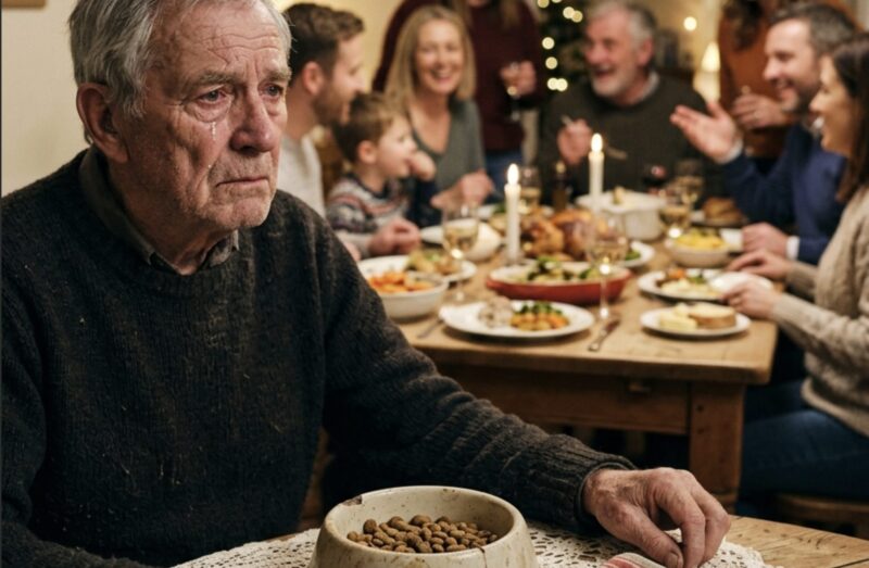 An meinem siebzigsten Geburtstag stellte mein Sohn mir eine Schüssel Hundefutter hin und lachte: „Auch Schmarotzer brauchen Abendessen.“ Alle an meinem Tisch erstarrten.